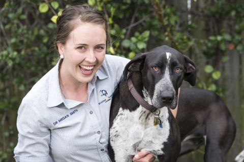 Stabler & Howlett Veterinary Surgeons–North Mackay - VETS Brisbane 3