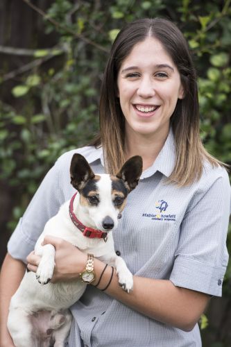 Stabler & Howlett Veterinary Surgeons–North Mackay - VETS Brisbane 4