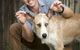Stabler & Howlett Veterinary Surgeons–North Mackay - thumb 5