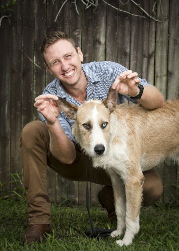 Stabler & Howlett Veterinary Surgeons–North Mackay - VETS Brisbane 5