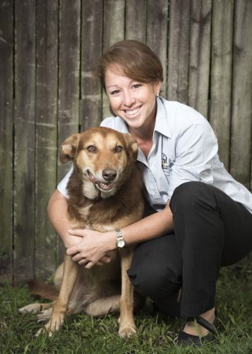 Stabler & Howlett Veterinary Surgeons–North Mackay - VETS Brisbane 6