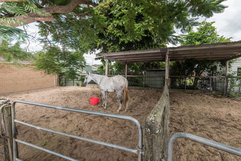 Stabler & Howlett Veterinary Surgeons–North Mackay - VETS Brisbane 9