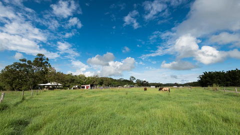 Stabler & Howlett Veterinary Surgeons–North Mackay - VETS Brisbane 11