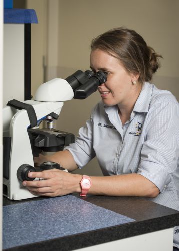 Stabler & Howlett Veterinary Surgeons–North Mackay - VETS Brisbane 17