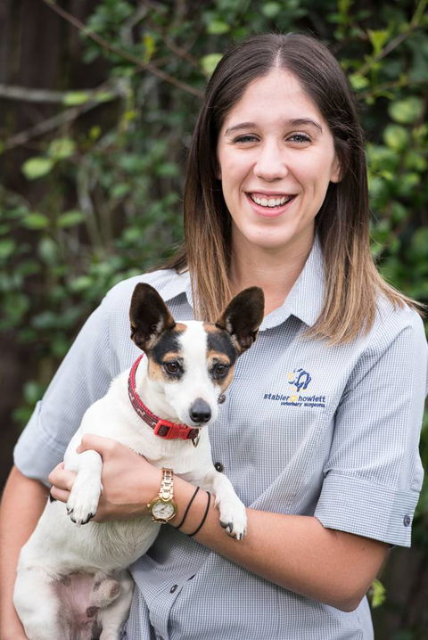 Stabler & Howlett Veterinary Surgeons–North Mackay - VETS Brisbane 20
