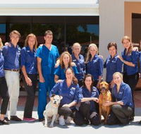 Berkhout Stacey Dr - VETS Brisbane