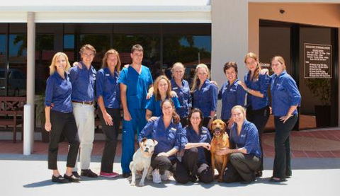 Dr Lucy Coldwell - VETS Brisbane 0