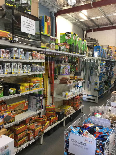Pets R Us Raymond Terrace - VETS Brisbane 4