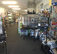 Coffs Coast Pets - VETS Brisbane