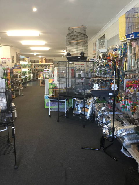 Coffs Coast Pets - VETS Brisbane 0