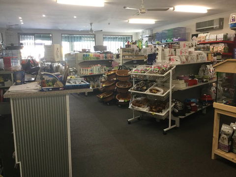 Coffs Coast Pets - VETS Brisbane 2