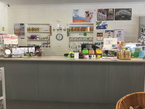 Coffs Coast Pets - VETS Brisbane 3