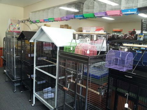 Absolutely Fish And Pets - VETS Brisbane 1