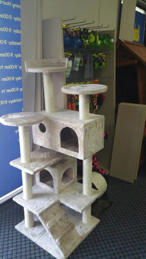 Absolutely Fish And Pets - VETS Brisbane 2