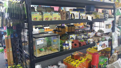 Absolutely Fish And Pets - VETS Brisbane 3