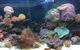 Rocky Pet World - thumb 0