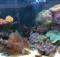 Rocky Pet World - VETS Brisbane