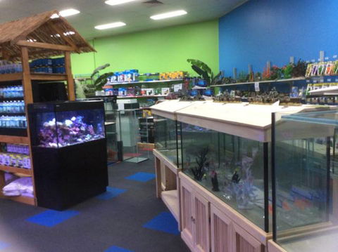Rocky Pet World - VETS Brisbane 1