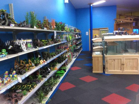 Rocky Pet World - VETS Brisbane 2