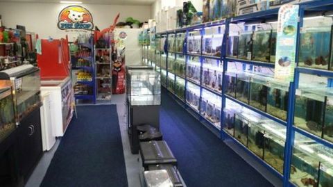 Pet Stop - VETS Brisbane 0
