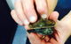 Pet Stop - thumb 4