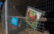 Radley’s Farm Pet & Garden Supplies - thumb 2
