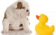 Margarets Dog Coats And Accessories - thumb 0