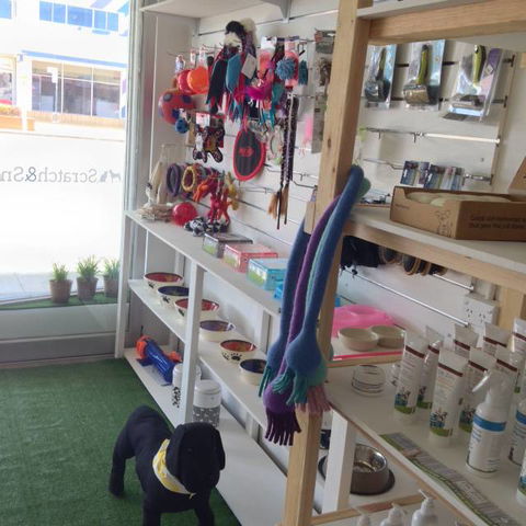 Scratch & Sniff - VETS Brisbane 0
