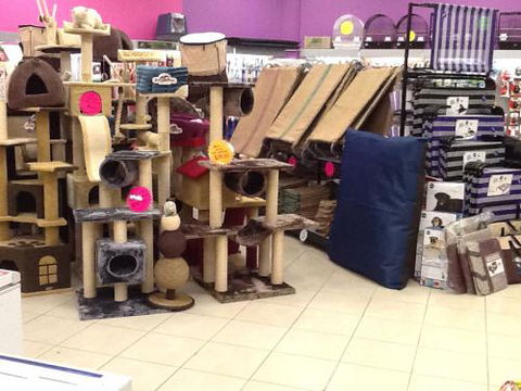 Pet Cafe Smithfield - VETS Brisbane 0