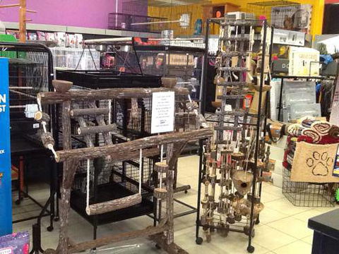 Pet Cafe Smithfield - VETS Brisbane 4